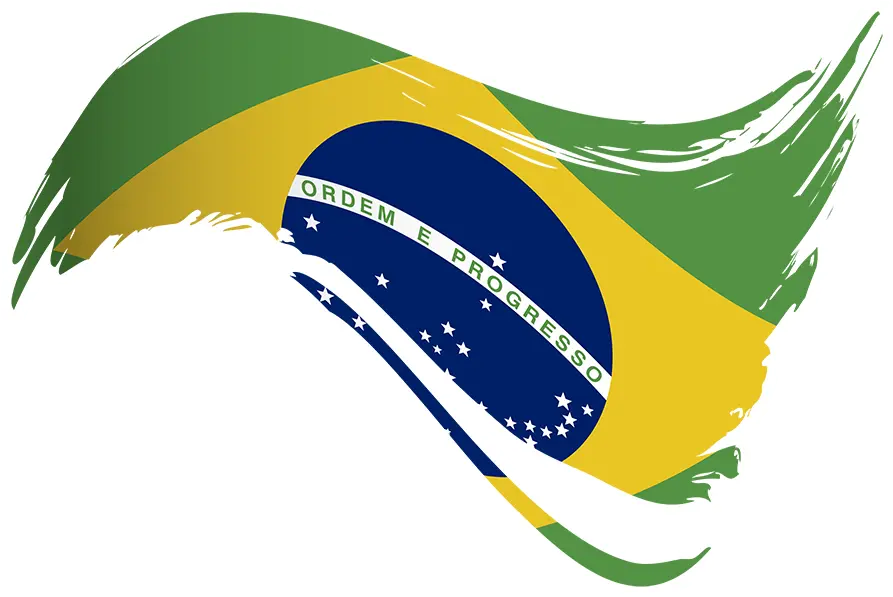 Download Adesivo Bandeira Do Brasil I De Lemon Pepper Brazil Flag Transparent Png Lemon Transparent Background