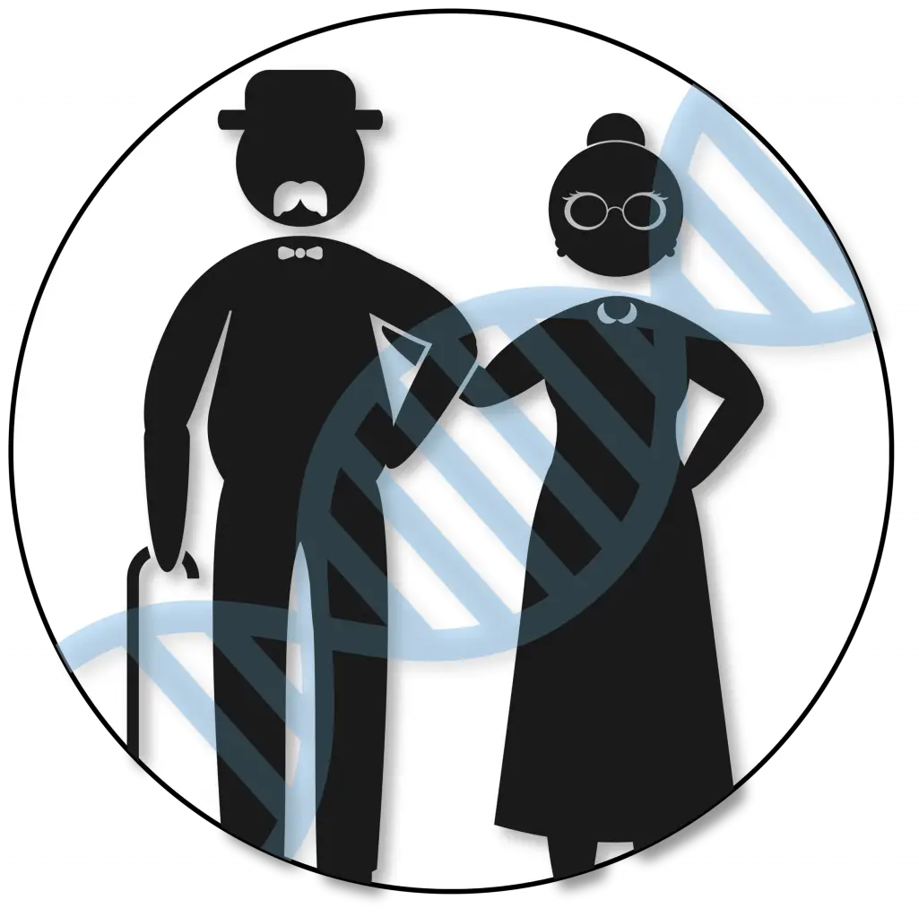 Find An Ancestor Using Dna Your Dna Guide Png Dna Match Icon