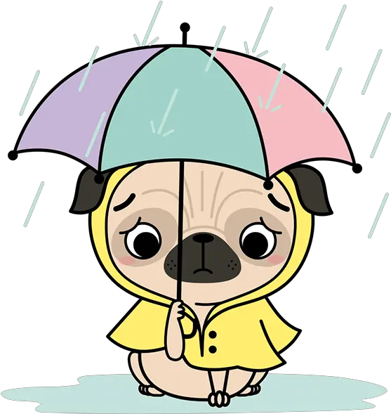 Pug Face Clipart Pug Animado Png Transparent Cartoon Cartoon Transparent Pug Pug Transparent Background