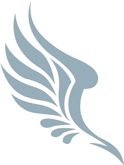 Logo Wing Png Image Blue Wings Logo Png Wing Png