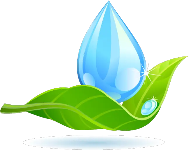 Download Free Water Drop Leaf Dew Png Hd Icon Water Drop On Leaf Logo Tear Drop Icon