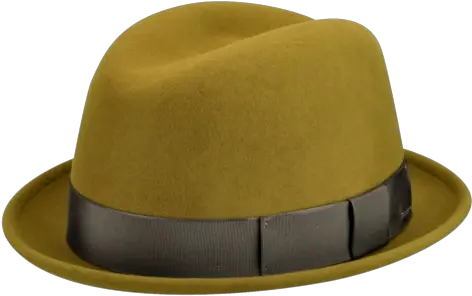 Download Hd Bailey Timson Citron Left Transparent Large V Costume Hat Png Fedora Hat Png