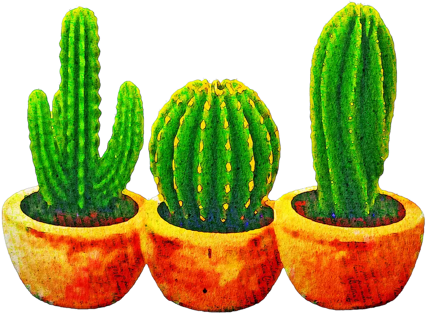 Watercolor Cactus Succulents Cacti Free Image On Pixabay Gambar Pohon Kaktus Animasi Png Cactus Transparent Background
