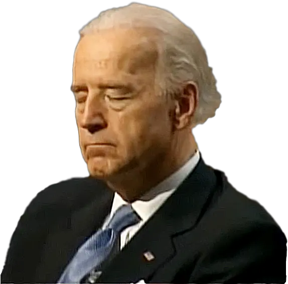 Bradley Whitford Biden Asleep Png Joe Biden Png