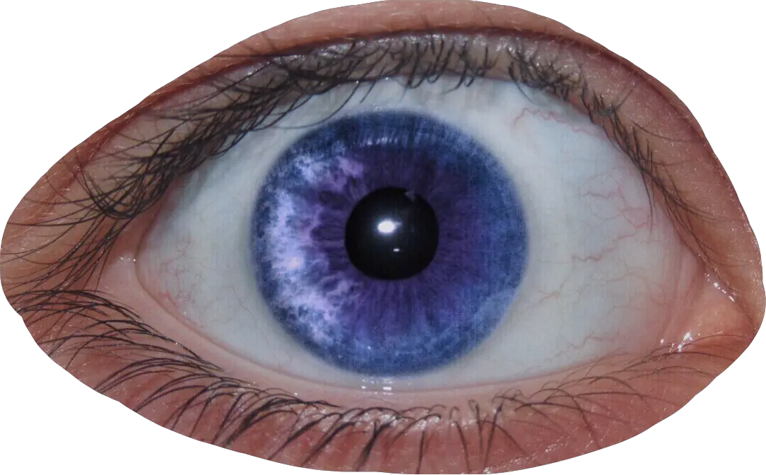 Eye Creepy Cool Purple Eyeball Pupil Creepy Eyes Png Creepy Eye Png