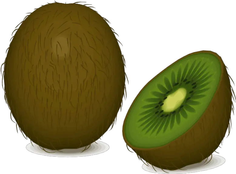 Kiwi Png Clip Art Transparent Image Cliparts Free Kiwi Cartoon Png Kiwi Bird Icon