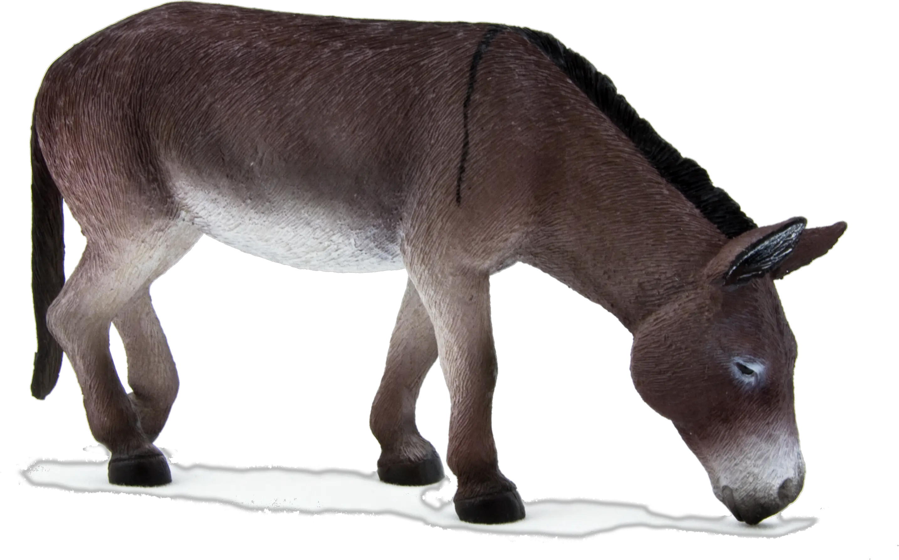 Animal Planet Donkey Grazing Grazing Donkey Png Donkey Transparent