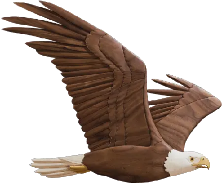 Soaring Eagle Png Transparent Image Mart Transparent Png Flying Eagle Bald Eagle Transparent Background