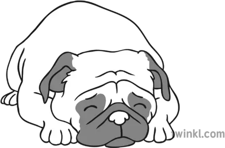 Unhappy Dog Pug Black And White Illustration Twinkl Twinkl Pug Colouring Pages Png Pug Png