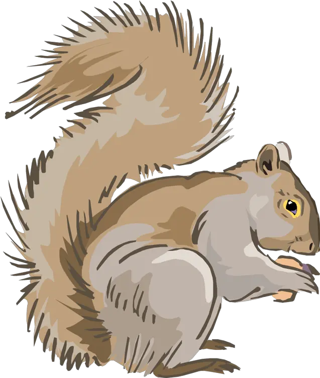 Indian Clipart Squirrel Transparent Free Squirrel Clip Art Png Squirrel Transparent