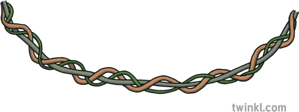 Creeper 010011 04 Vines Jungle Plants Ks1 Illustration Twinkl Clip Art Png Jungle Plants Png