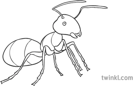 Ant The Cicada And Traditional Thai Tales Ks1 Black Snowflake Emoji Black And White Png Ant Png