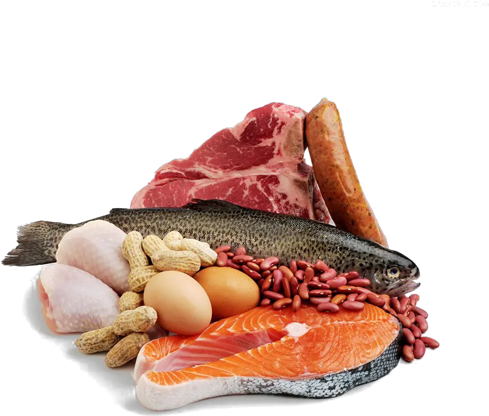 Library Of Fish Protein Vector Free Meat And Fish Png Meat Transparent Background