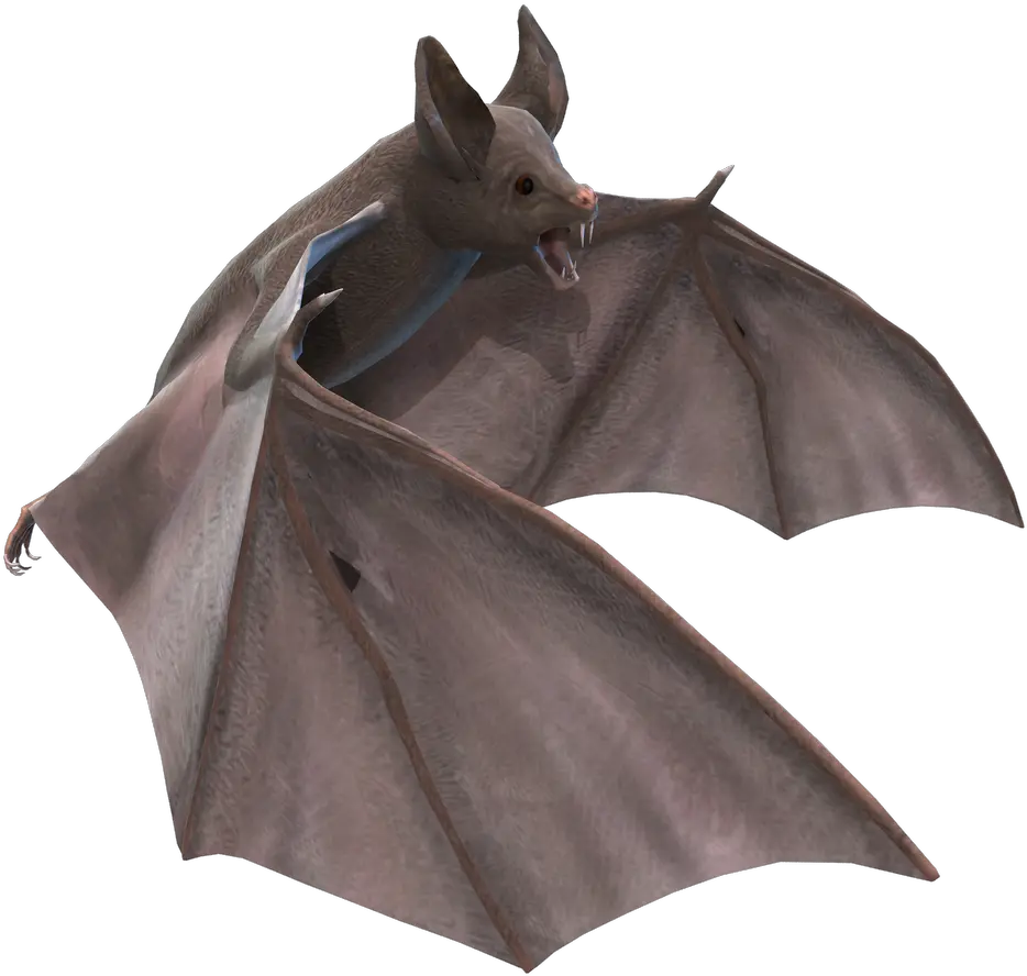 Bat Png Vampire Bat Art Bat Transparent Background