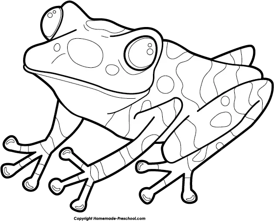 Download Free Png Frog Clipart Dlpngcom True Frog Frog Clipart Png
