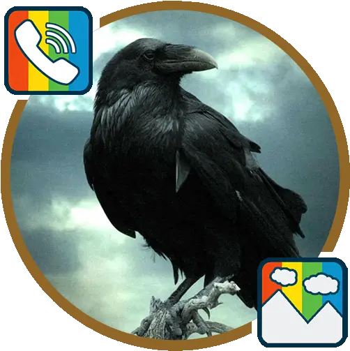 Raven Ringtones And Wallpapers U2013 Apps On Google Play Crow Wallpaper Hd Png Raven Transparent Background