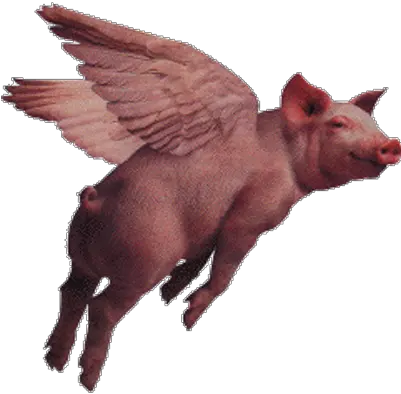 Deb Naughton Transparent Flying Pig Gif Png Fake Mustache Png