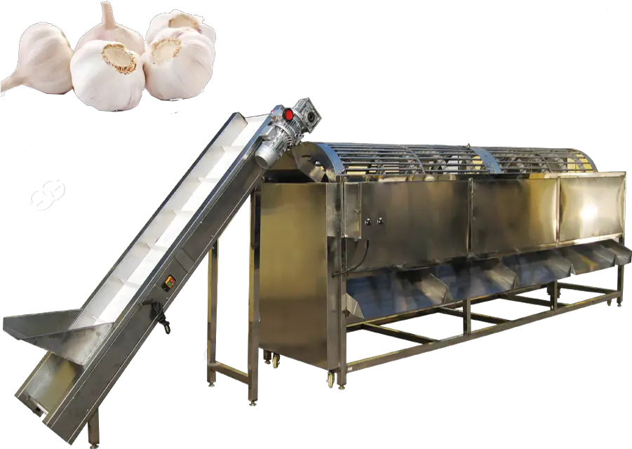 Garlic Png Factory Price Garlic Powder Processing Machine Vertical Garlic Png