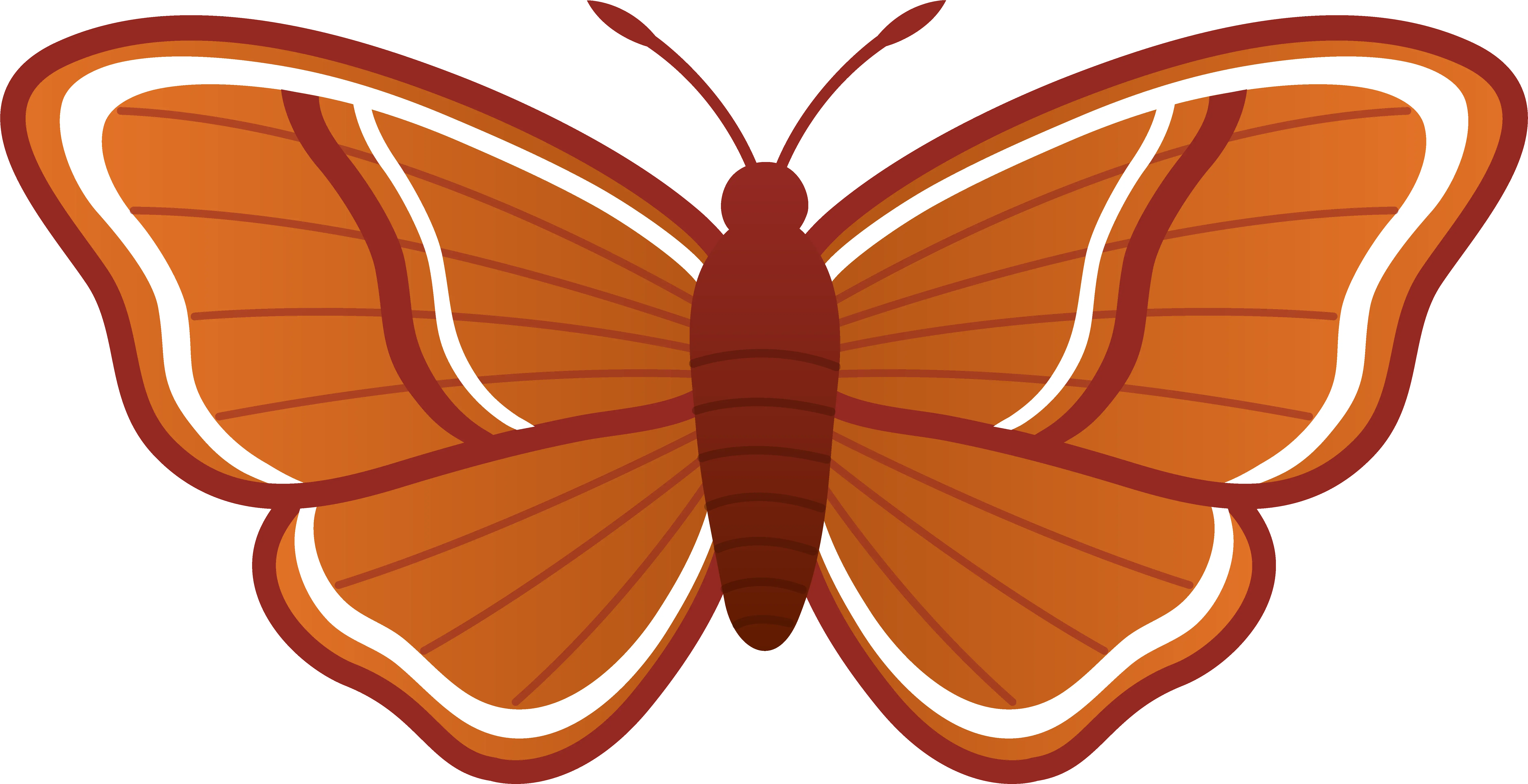 Moth Clipart Moth Clipart Png Moth Png