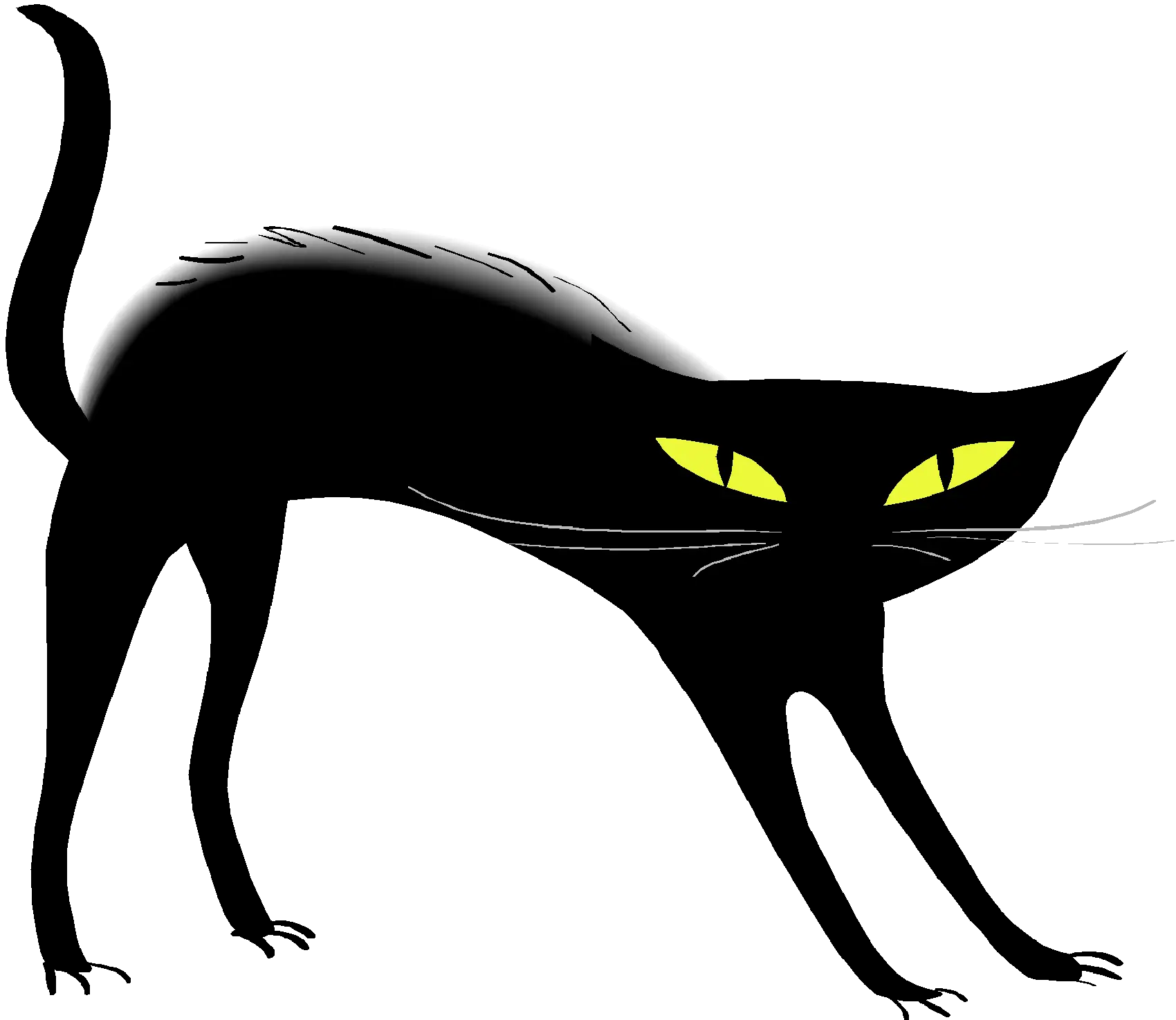 Cat Noir Png