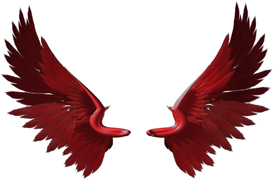 Pretty Wings Transparent Red Wings Png Wings Png
