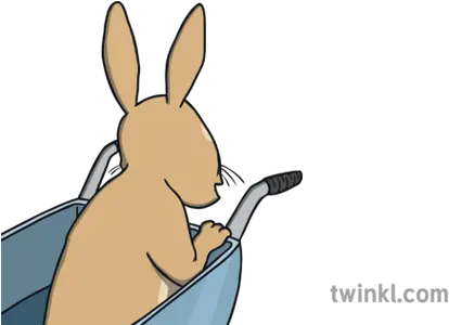 Ks1 Peter Rabbit In Wheelbarrow British Sign Language Alphabet N Png Peter Rabbit Png