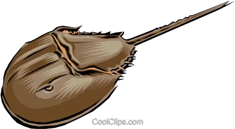 Download Horseshoe Crab Royalty Free Vector Clip Art Horseshoe Crab Clip Art Png Horseshoe Transparent