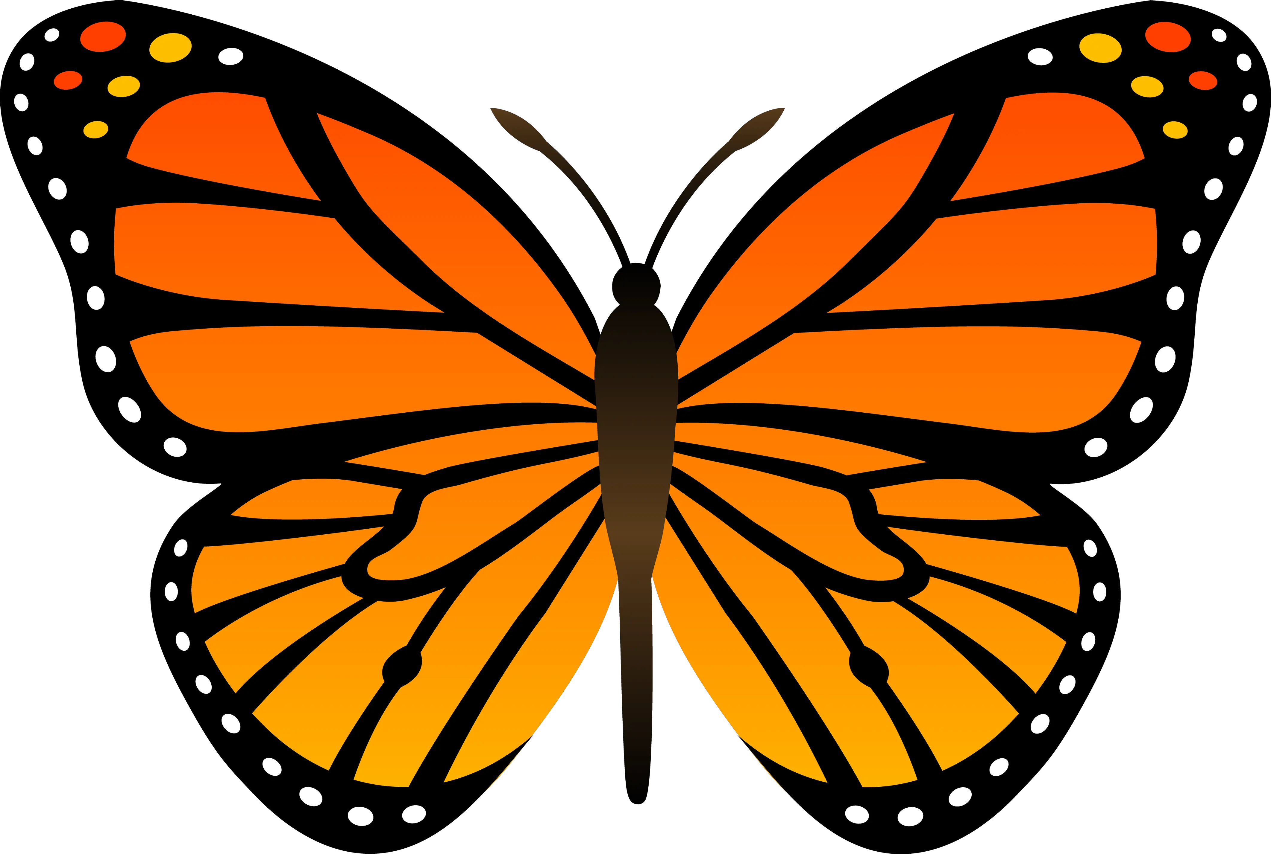 Fantasy Butterfly Png
