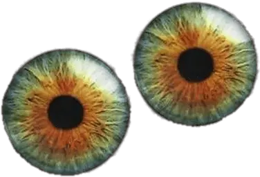 Black Googly Eyes Transparent Png Hazel Green Eye Ball Googly Eyes Transparent Background