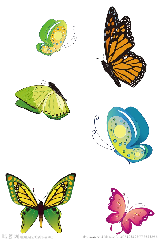 Colorful Butterfly Png