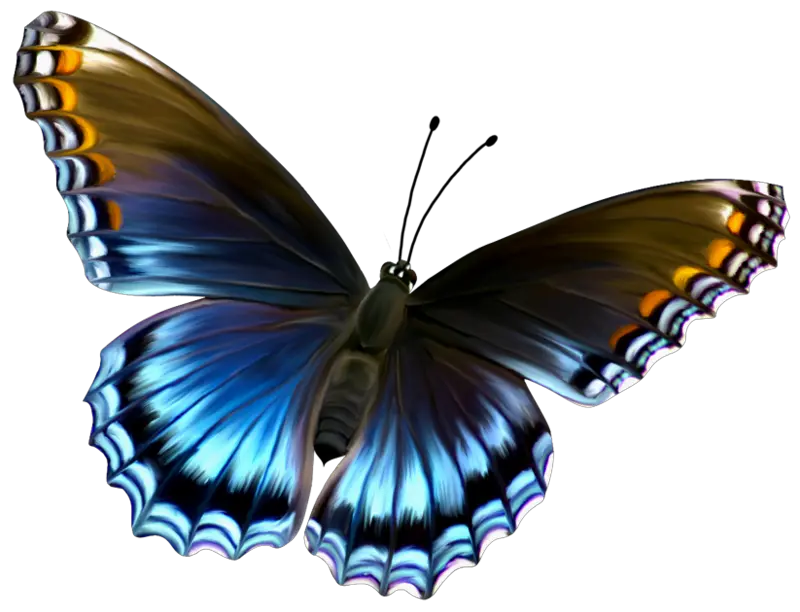 Butterfly Tatoo Png