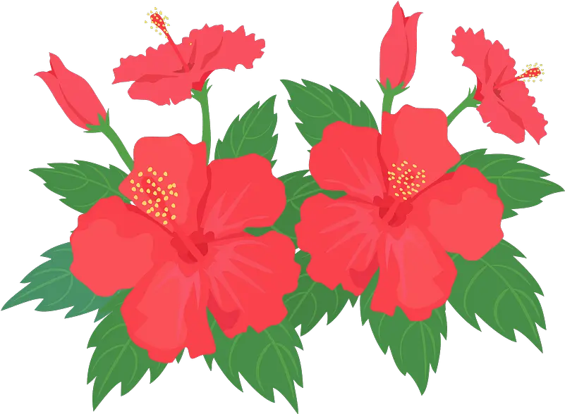 Hibiscus Flower Clipart Hawaiian Hibiscus Png Download Hibiscus Plant Clipart Png Hibiscus Icon