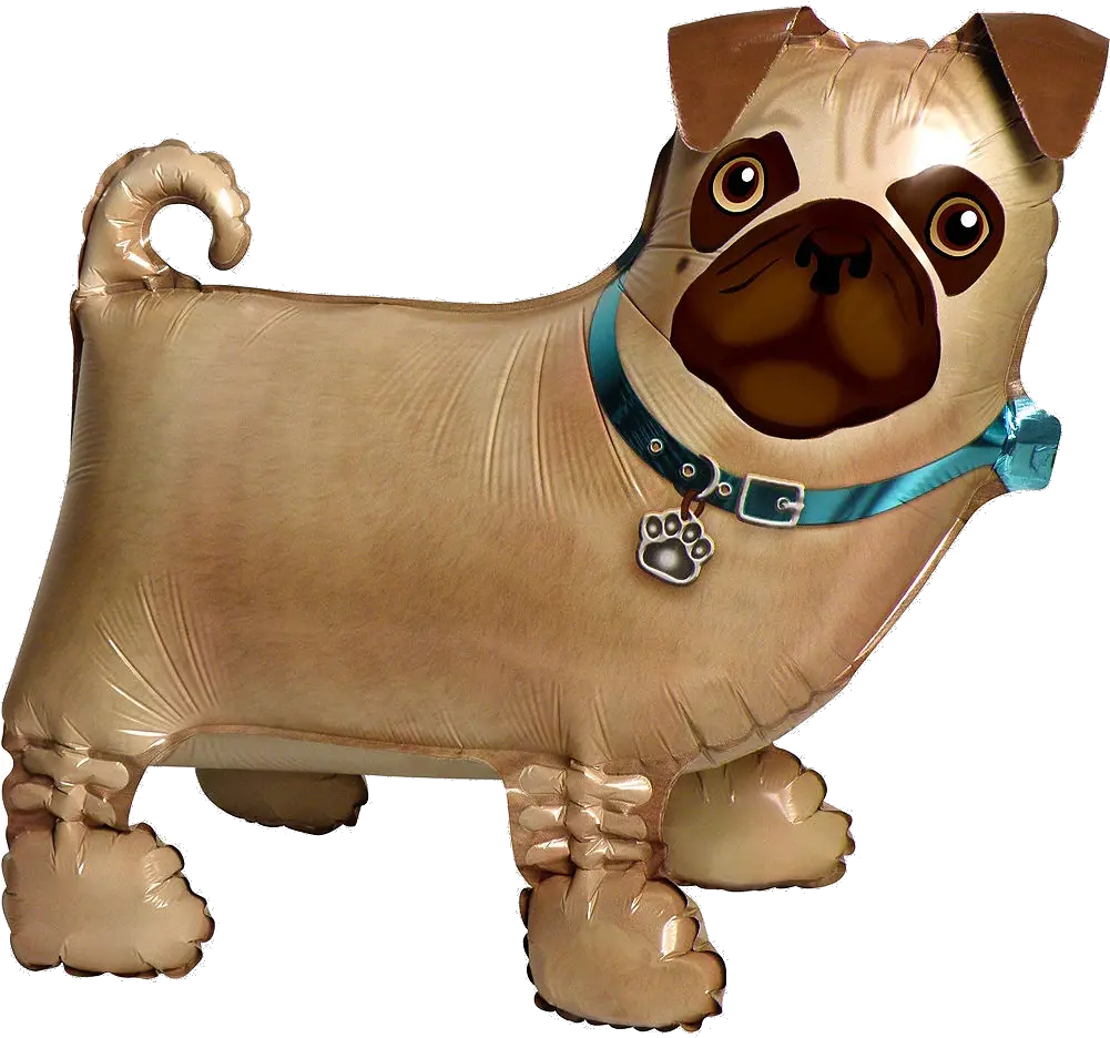 Precious Pug Balloon Buddy U2013 Balloonatics Designs Pug Balloon Png Pug Icon