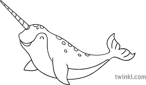 Narwhal Colouring Page Sea Animal Parents Ks1 Black And Fish Png Narwhal Icon