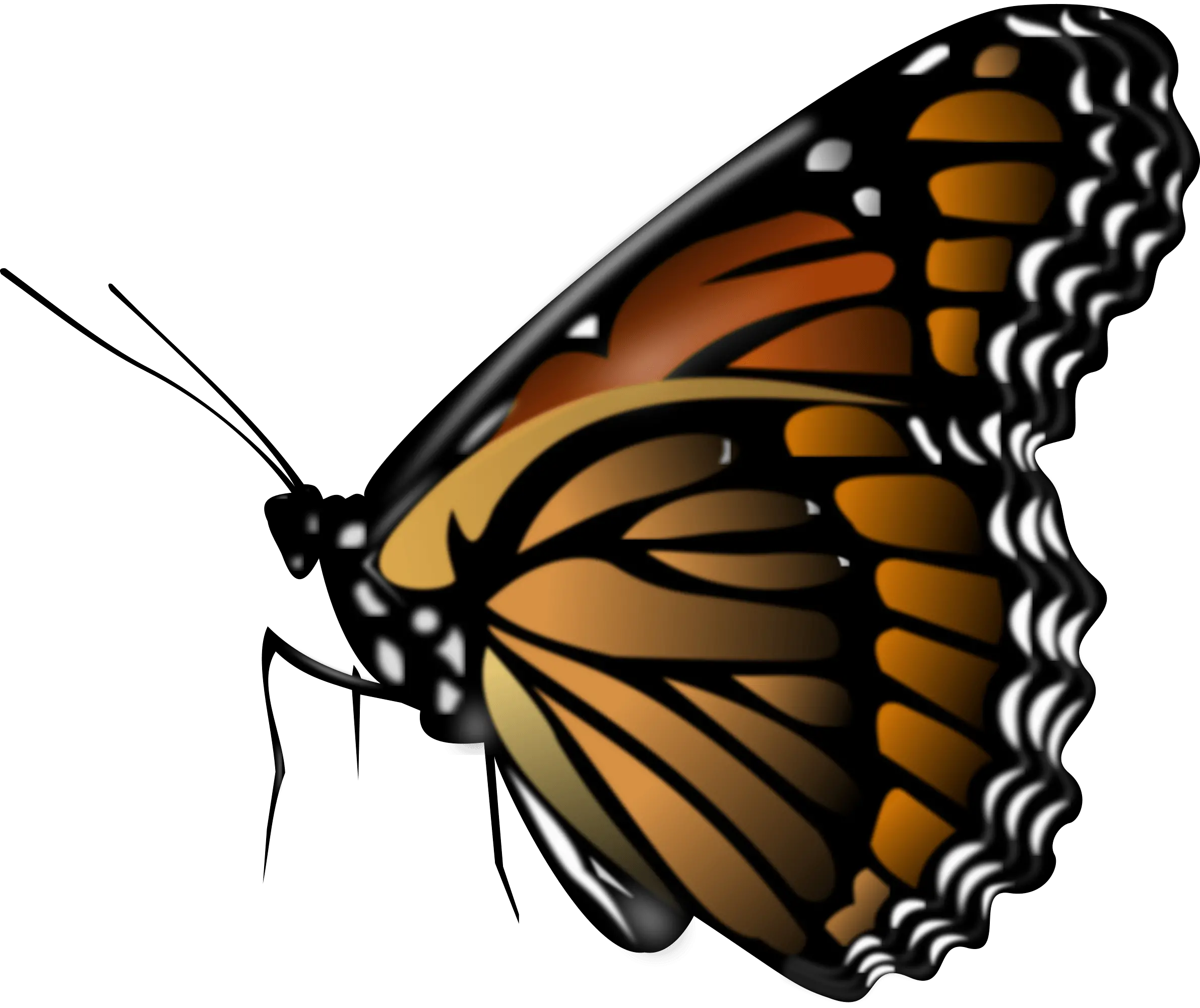 Butterfly Red Png