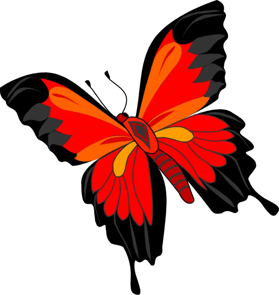 Butterfly Png Red