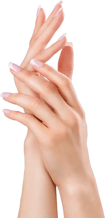 Nail Head Png Beautiful Woman Hands Png Nail Head Png