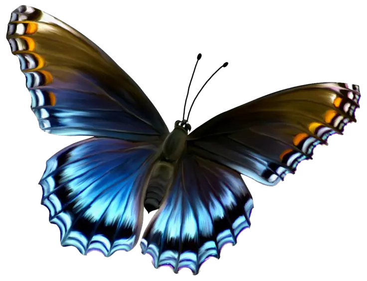 Butterfly Png File