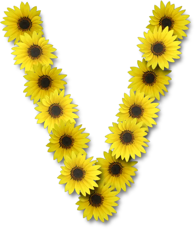 Diy Sunflower Wreath Png