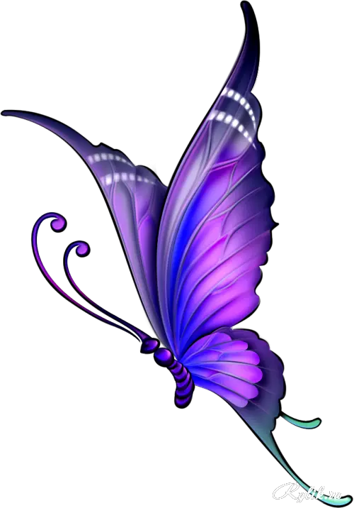 Butterfly Picsart Png