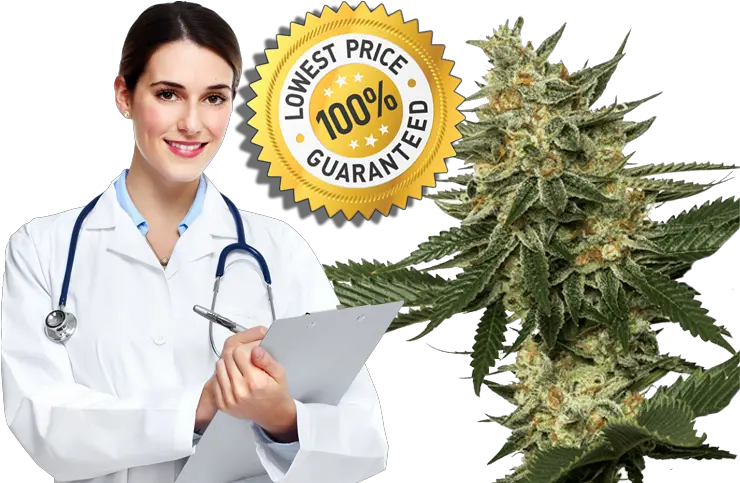 Marijuana Express Md Medical Marijuana Prescription Cards Mbbs Doctor Png Marijuana Joint Png