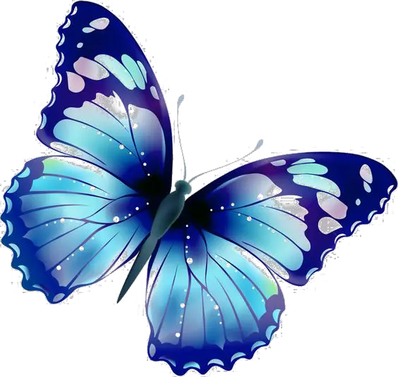 Butterfly Lighting Png