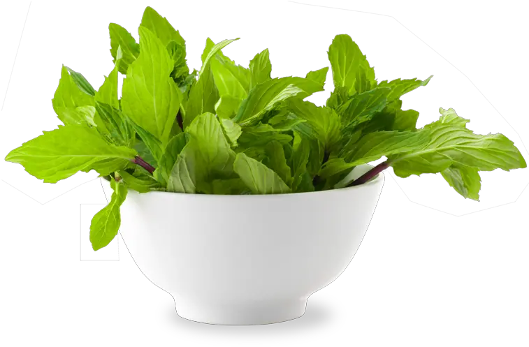 Mint Png Pictures Free Download Mint Leaf In Bowl Png Mint Leaf Png