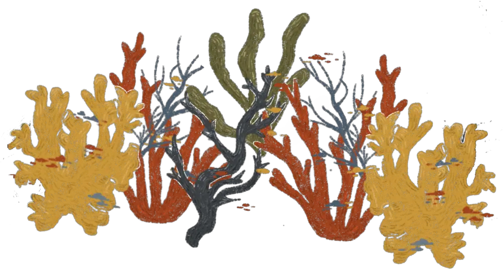 Can We Still U0027rehabilitateu0027 Our Coral Reefs The Good Trip Illustration Png Coral Reef Png