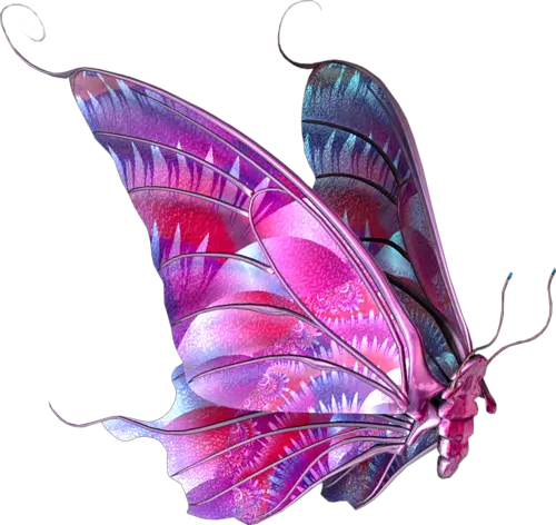 Butterfly Icon Png