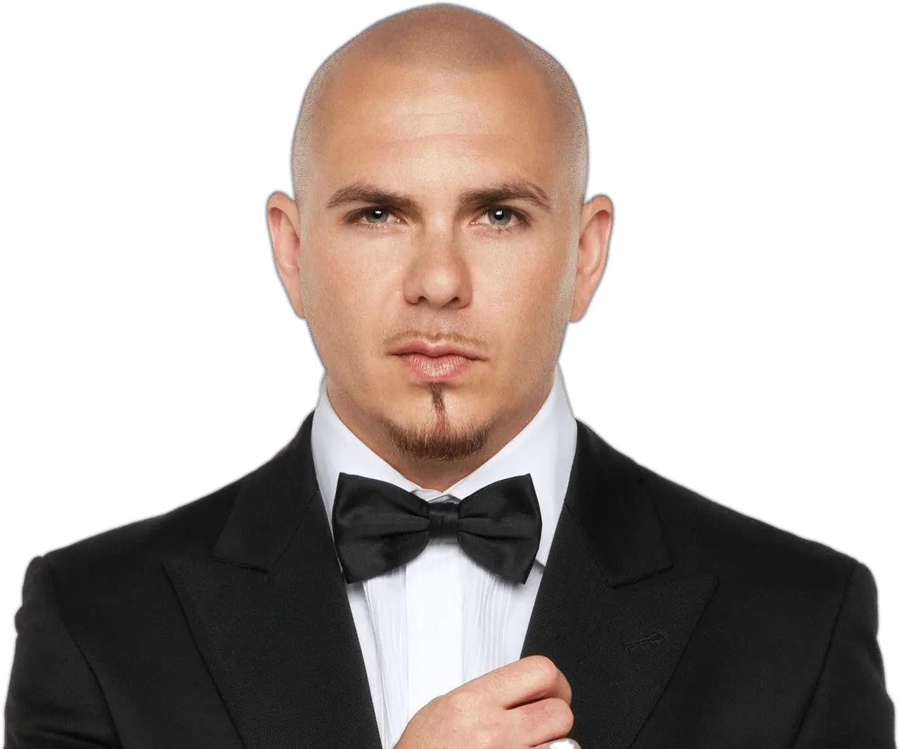 Pitbull With Bow Tie Transparent Png S 1092433 Png Pitbull Songs Rapper Png