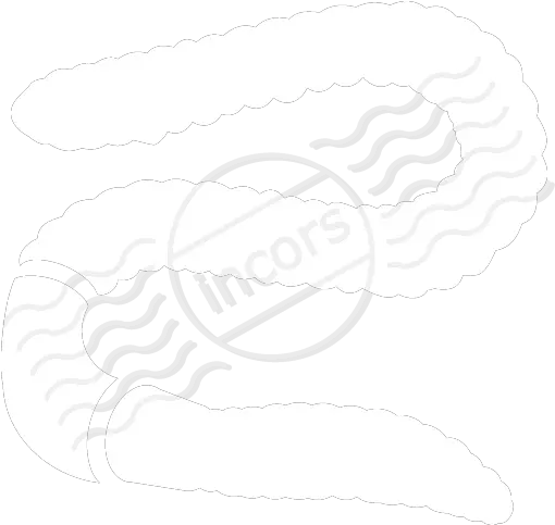 Iconexperience M Collection Worm Icon White Transparent Worm Png Worm Transparent Background