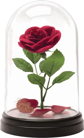 Beast Rose Png Beauty And The Beast Rose Beauty And The Beast Rose Png