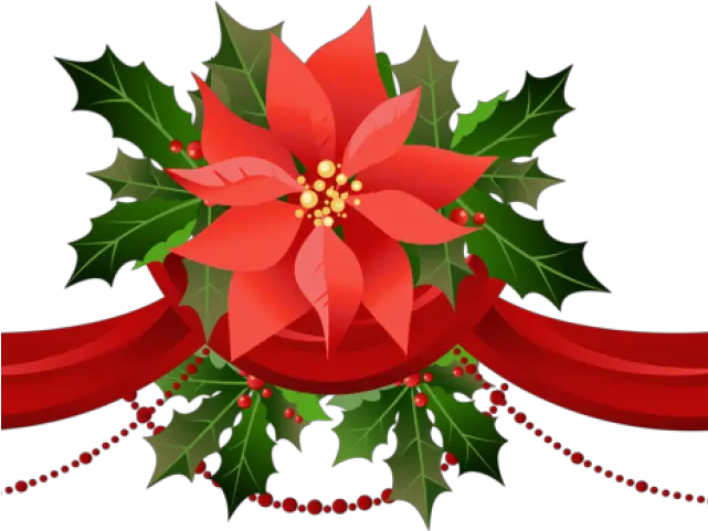 Christmas Poinsettia Clipart Christmas Clip Art Poinsettia Transparent Background Poinsettia Png Poinsettia Png