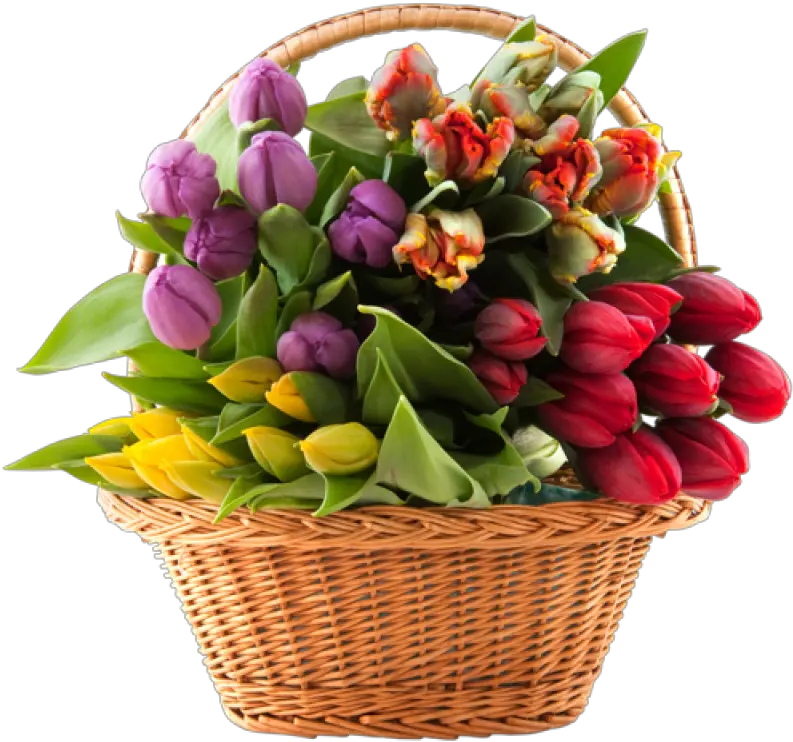 Bouquet Of Flowers Png Image Purepng Free Transparent Flower Basket Png Bouquet Of Flowers Png